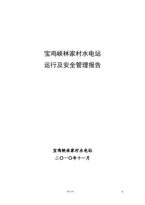 水电站运行及安全管理报告