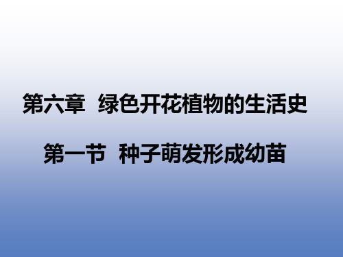 种子萌发形成幼苗优秀课件