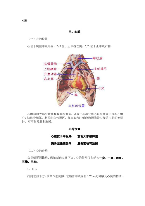 心脏听诊图解