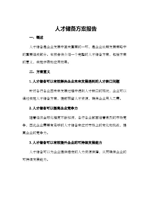 人才储备方案报告