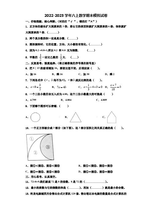 2022-2023学年洛阳市洛龙区数学六上期末教学质量检测模拟试题含解析