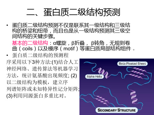 蛋白质结构预测