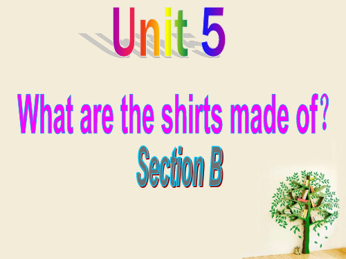 人教九年级Unit5 sectionB