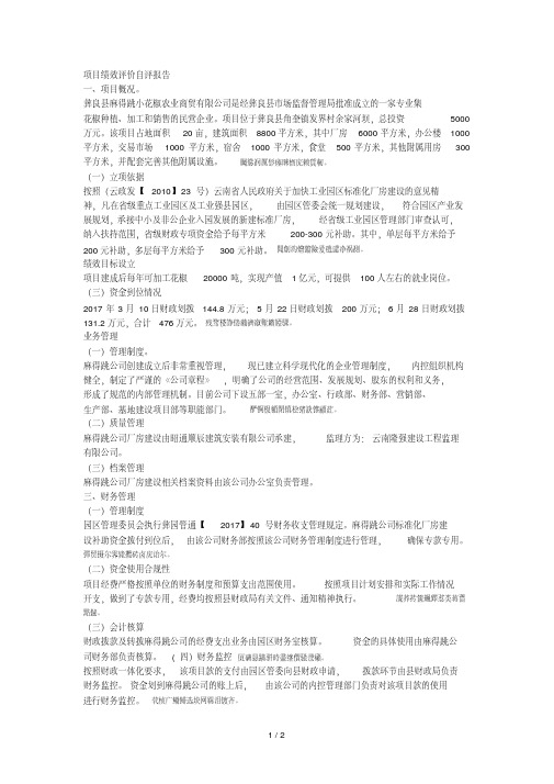 项目绩效评价自评报告.pdf