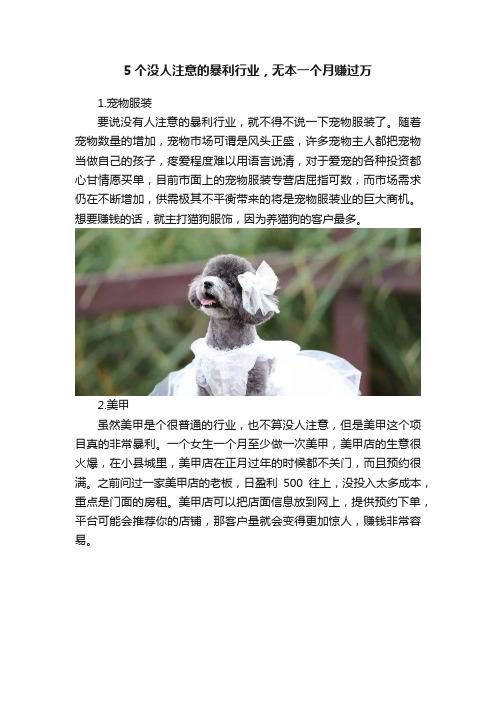 5个没人注意的暴利行业，无本一个月赚过万