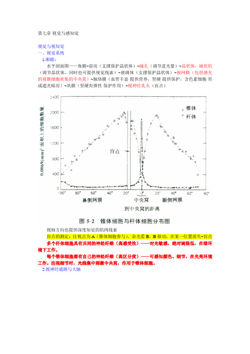 视觉与感知觉