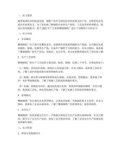 攀钢钢铁厂实习报告总结