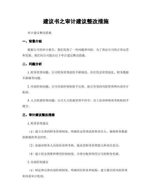 建议书之审计建议整改措施