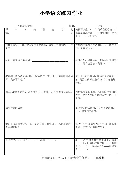 小学六年级语文复习冲刺训练 (75)