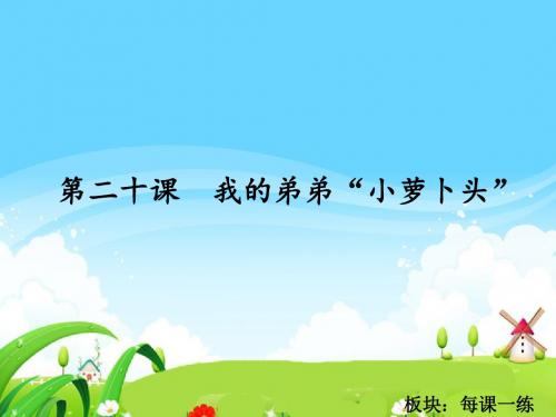 最新语文S版三年级语文下册20 我的弟弟“小萝卜头”_每课一练