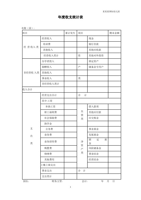 幼儿园年度收支统计表