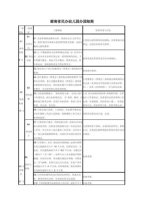 湖南省民办幼儿园办园细则.doc