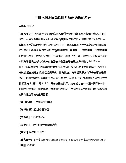 三叶木通不同单株叶片解剖结构的差异