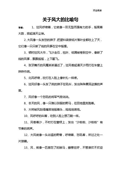 关于风大的比喻句