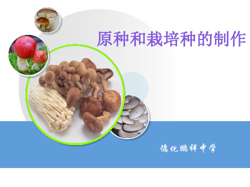原种和栽培种的制作