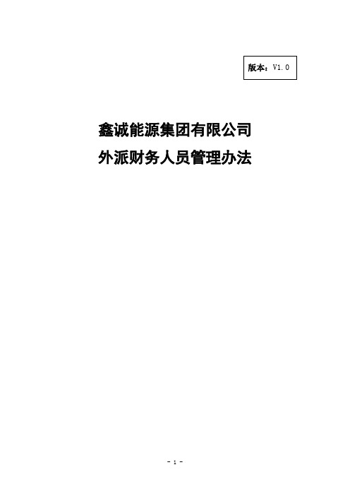 鑫诚能源集团有限公司外派财务人员管理办法