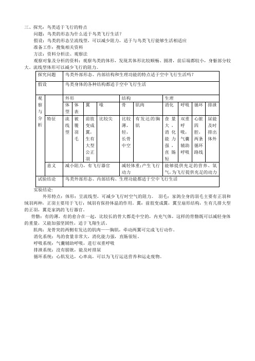 3探究鸟适于飞行的特点