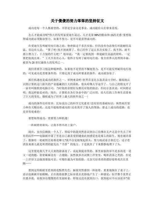 关于傻傻的努力笨笨的坚持征文