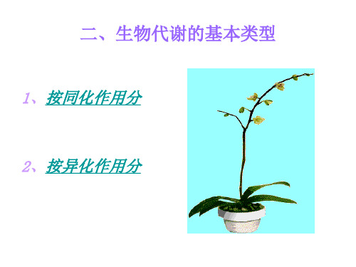 第八节 新陈代谢的基本类型(PPT)2-1