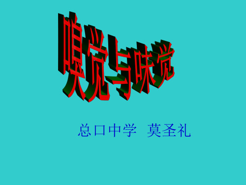 第3课时嗅觉与味觉