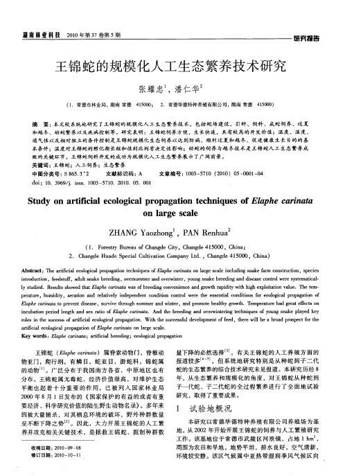 王锦蛇的规模化人工生态繁养技术研究