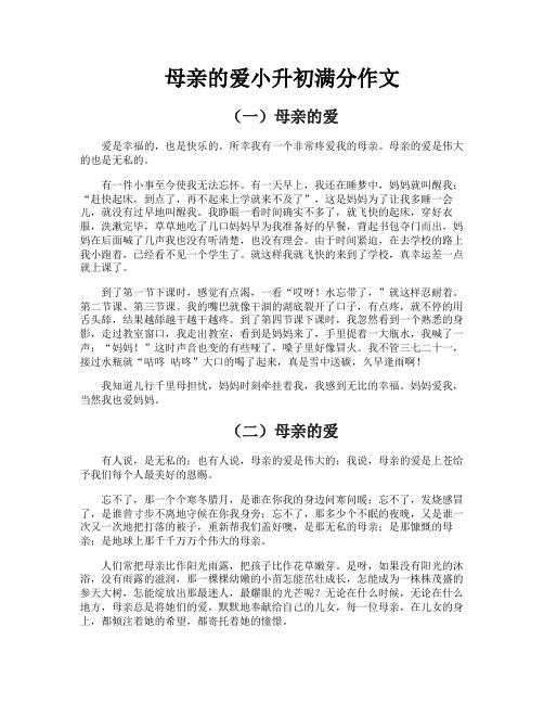 母亲的爱小升初满分作文