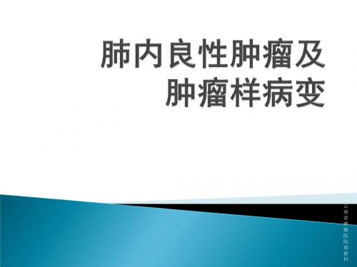 肺部良性肿瘤及肿瘤样病变课件