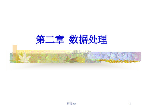 《数据处理》PPT课件 (2)