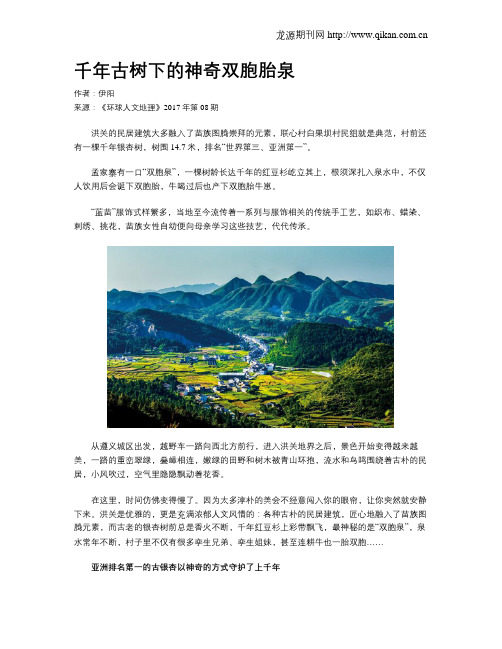 千年古树下的神奇双胞胎泉