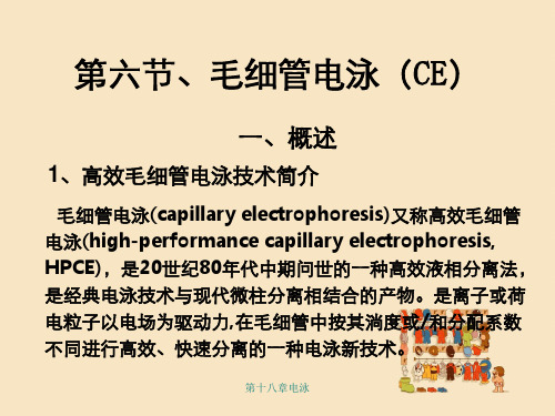 第十八章电泳