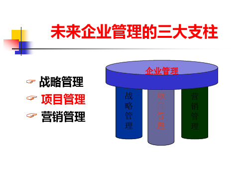 项目管理概述论