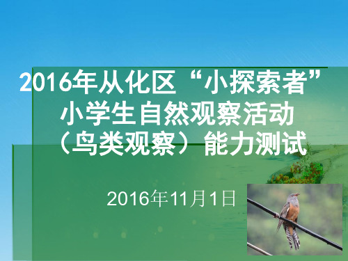 从化区“小探索者”小学生自然观察活动鸟类观察试题