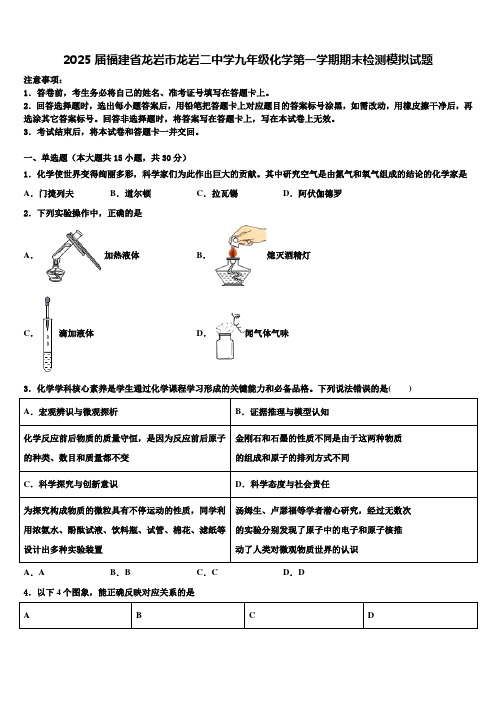 2025届福建省龙岩市龙岩二中学九年级化学第一学期期末检测模拟试题含解析