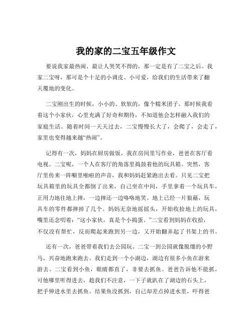 我的家的二宝五年级作文