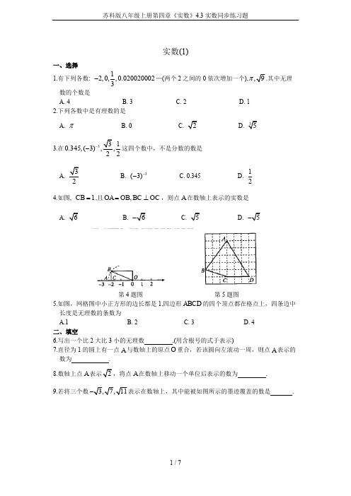 苏科版八年级上册第四章《实数》4.3实数同步练习题