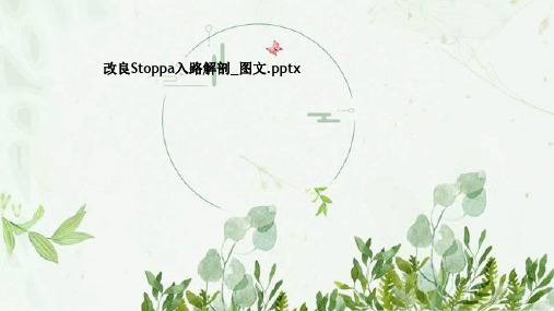 改良Stoppa入路解剖_图文