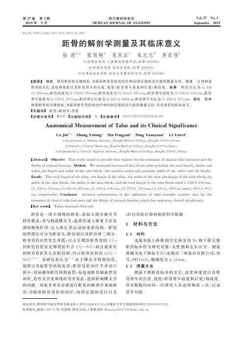 距骨的解剖学测量及其临床意义