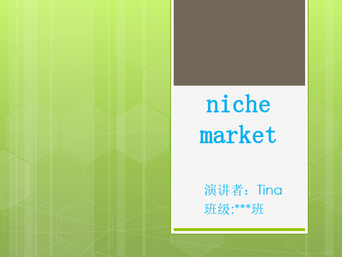 niche market(利基市场)