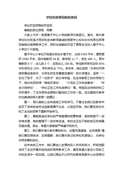 学校欢迎领导的欢迎词