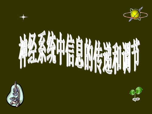 神经系统中信息的传递和调节