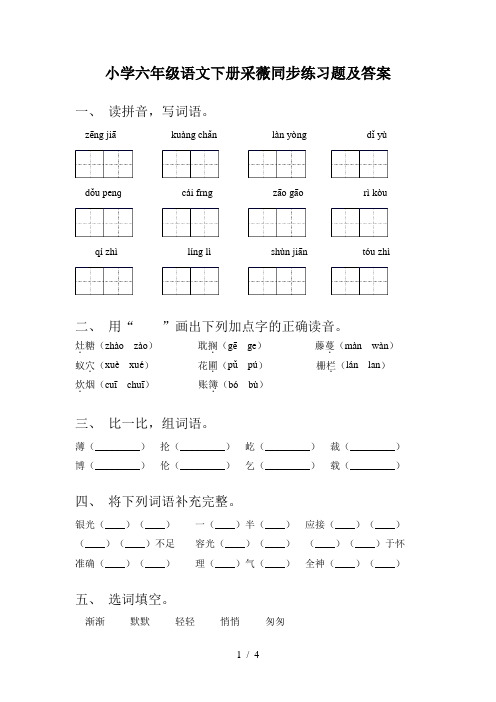 小学六年级语文下册采薇同步练习题及答案