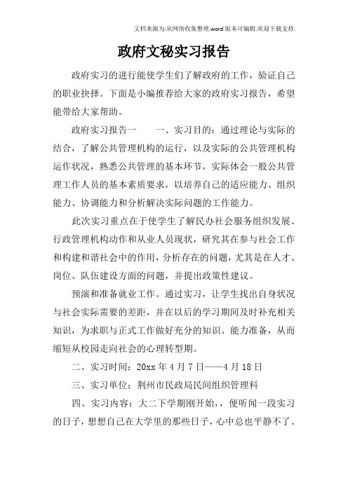 政府文秘实习报告