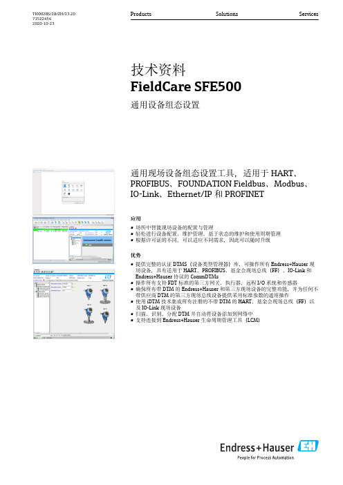 Endress+Hauser FieldCare SFE500 通用设备组态设置说明说明书