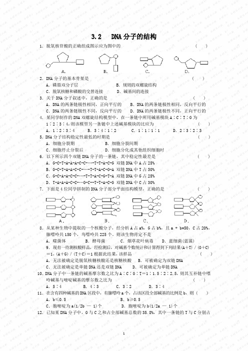 2.3.2 高二生物DNA分子的结构练习2(含答案)