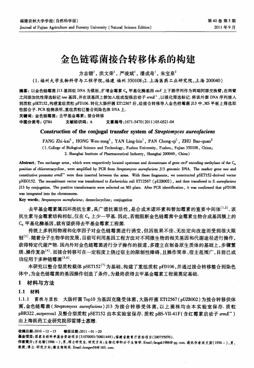 金色链霉菌接合转移体系的构建