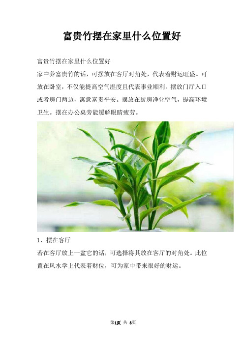 富贵竹摆在家里什么位置好
