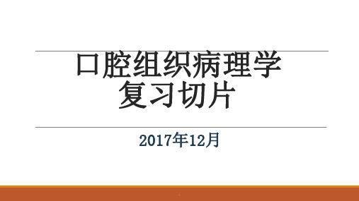 口腔组织病理学复习切片