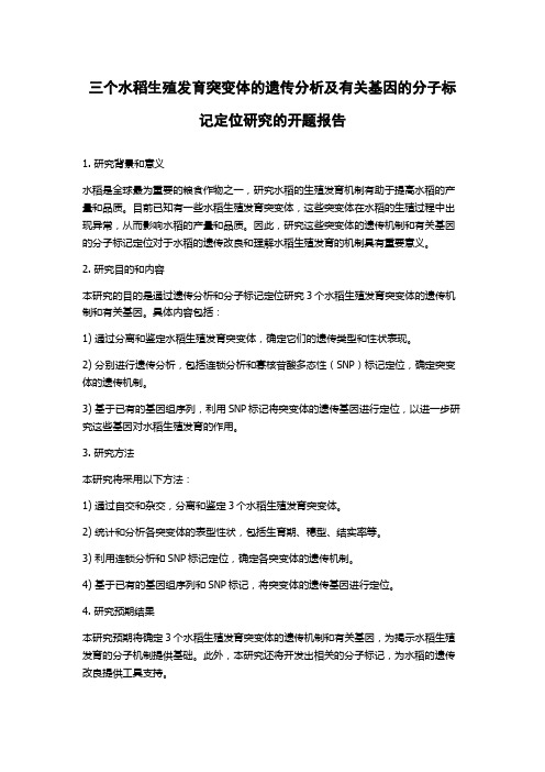 三个水稻生殖发育突变体的遗传分析及有关基因的分子标记定位研究的开题报告