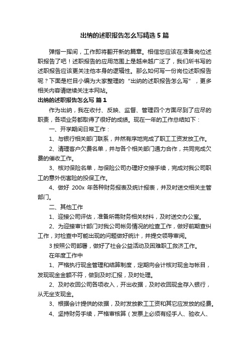 出纳的述职报告怎么写精选5篇