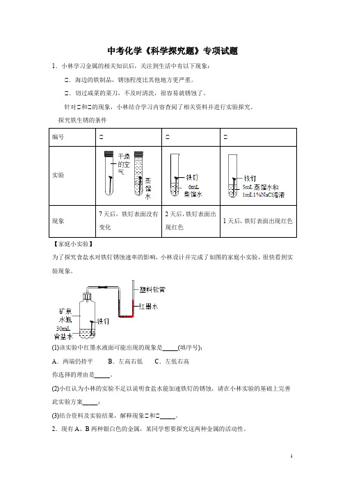 中考化学《科学探究题》专项试题及答案